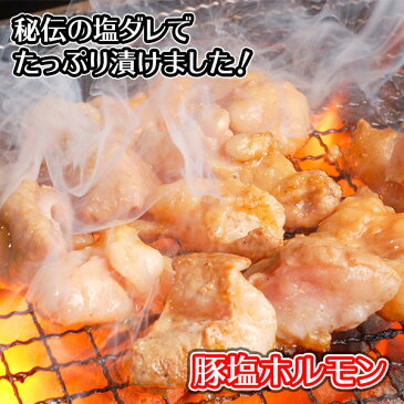 【肉の山本】豚塩ホルモン（味付き）220g 豚塩/BBQ バーベキュー/ホルモン/肉/焼肉