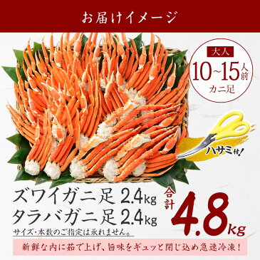 タラバガニ 訳あり ズワイガニ わけあり かに 食べ比べ 6kg セット カニ 蟹 ずわいがに たらば蟹 たらばがに 訳アリ ズワイ蟹 タラバ蟹 蟹足 脚 足 海鮮 グルメギフト BBQ 北国からの贈り物 加藤水産 送料無料