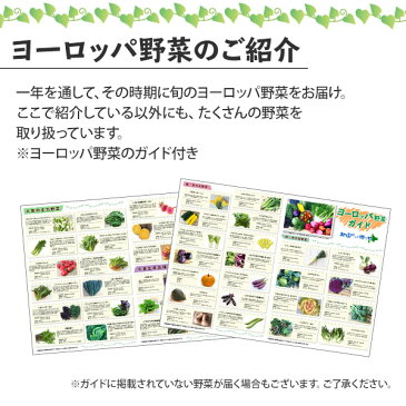 ヨーロッパ野菜 詰め合わせ スタンダードセット 6-8品目 夏ギフト 野菜 詰め合わせ セット ヨーロッパ サラダ 珍しい野菜 スタンダード ヨーロピアン ビーツ ルッコラ ロマネスコ バターナッツ お取り寄せ グルメ ギフト 野菜 敬老の日 ギフトセット gift set 送料無料