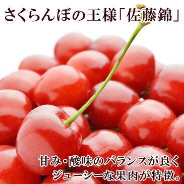 訳あり 山形県産さくらんぼ佐藤錦 1kg サクランボ さくらんぼ 佐藤錦 お取り寄せ 果物 フルーツ 送料無料 ◆出荷予定：6月中旬