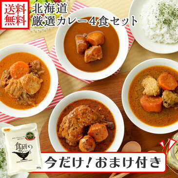 今だけ!オマケ付き 北海道カレーセット スープカレーセット 4食(北国チキンレッグ/南家/天竺/ココナッツ)業務用 カレー セット レトルトカレー 常温保存 北海道 スープカレー レトルト 食品 詰め合わせ セット チキンカレー お取り寄せ カレー soup curry set 送料無料