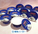 【雪印パーラー限定】昭和天皇のために作られたアイスクリーム。スノーロイヤル140mlカップ10個セット（数量限定販売）