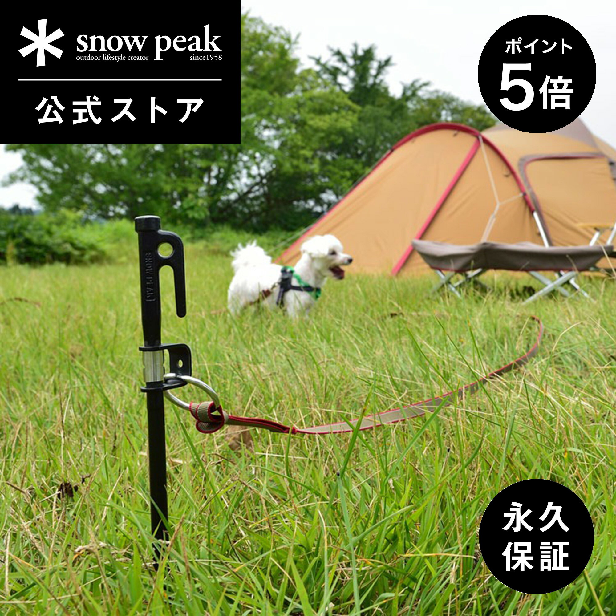 【1日限定 5%OFF×P5倍】【スノーピーク 公式】【永久保証付】snowpeak ドッグアンカー50 PT-032 アンカー ペグ フック ポール リード ...