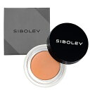 青ひげコンシーラー メンズ ( オレンジ コンシーラー クリーム 青ひげ 青髭 クマ ニキビ跡 日本製)【 SIBOLEY (シボレー) 】