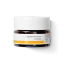 Dr. Hauschka(ドクターハウシュカ) リップバーム 【リップクリーム ミツロウ】 4.5ミリリットル (x 1)