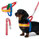 VETRESKA ベトレスカ ハーネス CHROMA ハーネスリード リュックセット 可愛い 犬用散歩 トレーニング用 調節可能 咳き込み軽減 簡単なコントロー...