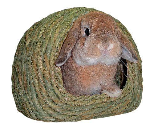 わらっこ倶楽部 かまくらハウス M