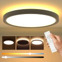 シーリングライト LED 間接照明 調光調色 上下発光 照明器具 節電対策 リモコン操作 タイマー機能 省エネ 薄型 簡単取付 天井照明 和室 洋室 キッチン 寝室 洗面所 リビング 日本語取扱説明