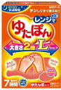 白元アース レンジでゆたぽん Lサイズ ぽかぽか快適睡眠 ポータブル暖房 安全湯たんぽ 1個