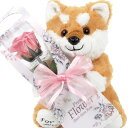 【 liLYS épice 】 リリスエピス プリザーブドフラワー 2025 柴犬 ぬいぐるみ 一輪の薔薇 プレゼント お祝い 記念日 誕生日 母の日...