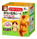【花王】めぐりズム 蒸気の温熱シート <肌に直接貼るタイプ>16枚 ×10個セット