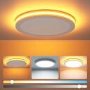 Coizabera Ledシーリングライト 6畳 28W 3200lm 調光調色 間接照明 常夜灯 おしゃれ 極薄型 天井 照明器具 電気 蛍光灯 Ceiling Light 6畳 和室/寝室/書斎/リビング/玄関/台所/廊下適用【リモコン付き APP