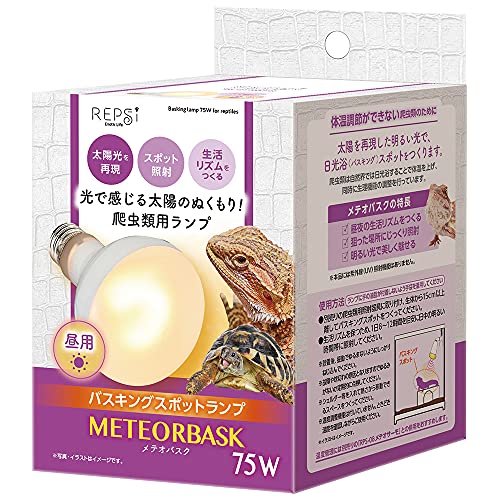 REPSi(レプシー) メテオバスク 75W