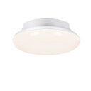 シーリングライトled 小型 150W形相当15W 1600lm LED ~ 6畳 電球色 玄関 門灯 廊下 台所 物置 洗面所 トイレ 天井照明 照明器具 ミ...