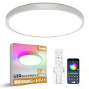 Antree LEDシーリングライト 8-10畳用 36W 北欧風 調光調色 RGB雰囲気ライト 4800LM 薄型 天井照明器具 Ceiling Light リモコンとアプリでの操作 寝室/リビング/ダイニング/子供部屋/ゲームルーム適用