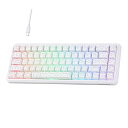 ラピッドトリガーMechLands AJAZZ AK680 MAX 有線ゲーミングキーボード ホール効果スイッチ ラピッドトリガー磁気キーボード 8Kポーリングレート トップ構造 RGBバックライト付きメカニカルキーボ