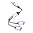 AKKerds USBエクスパンダ充電分岐器 Type-cドッキング USBディスク接続 多重拡張hub デュアルusb 2.0インタフェース(シルバー)