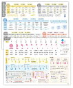 分数のまとめ 単位の計算 2枚セット お風呂ポスター 学習ポスター A2 (60×42cm) 見やすくてわかりやすい 小学生 日本製 防水 ノートライフ 分数 ...