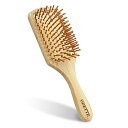 Odette ヘアブラシ レディース 人気 竹製櫛 ヘアケアブラシくし ヘアケア 頭皮&肩マッサージ 静電気防止 握りやすい 人間工学 美髪ケア 頭皮ケア メンズ レディースに適用 (Medium)