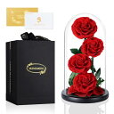 プリザーブドフラワー 赤色 4本 枯れない本物の薔薇 バラのガラスドーム 誕生日プレゼント お祝い 記念日 女性 人気 お花 プレゼント