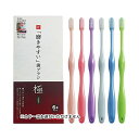 磨きやすい歯ブラシ 極 ふつう 先細毛 6本セット LT-53