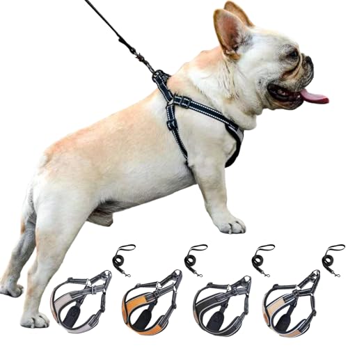 Paipeper 犬 ハーネス リードセット 小型犬ハーネス 中型犬ハーネス 牽引ロープ 胴輪 ドッグウエア 反射光ストリップ付き メッシュ おしゃれ 調節可能 お散歩 着脱簡単（ブラックS：3－6
