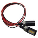 Tochi Wish ナンバー灯 高輝度 LEDナンバー灯 3LED 汎用 プレートネジ LED内蔵ボルト 光色ホワイト バイク原付 大型バイク 2個セット ブラック