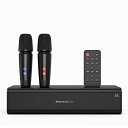 THOMSON カラオケセット 拡声器 ワイヤレスマイク2本付き PAセット Bluetooth5.0 ワイヤスステレオ対応 家庭用 USB再生 ポータブルスピーカー 屋外 スピーチスピーカー USB-C充電式ワイヤレスマイク