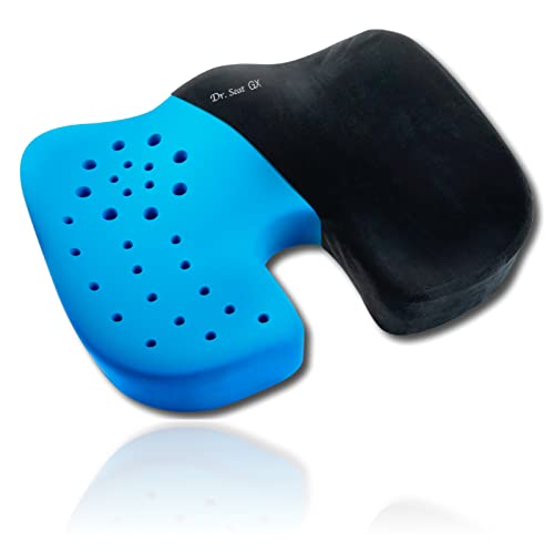 LIworld Dr. Seat GX ȿȯå  ػ   å  ˤʤʤ ե (֥å)