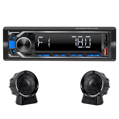 セイワ(SEIWA) カーオーディオ 1DIN メディアプレーヤー 軽トラック(ダイハツ ハイゼットトラック/スズキ キャリー）に最適 カーオーディオ RAY21 ワイドFM（76.0〜108.0MHz対応)/AM AUX USBメモリ/SDカ
