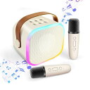 HolyCrab カラオケセット Bluetoothマイク 2本 Mini カラオケセット家庭用 カラオケマイク マイク カラオケ カラオケ スピーカー 家庭用 PAセット ワイヤレス マイク karaoke 無線マイク カラーLEDライ