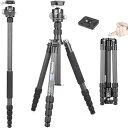 INNOREL カーボン 三脚 中型 トラベル 超軽量 耐荷重 12KG 五段 37-161CM 一脚 可変式 360° パノラマ チューブ径 25/22/19/16/13MM センターポール ボール低重心雲台 ナットロック式 ビデオ デジタル カ