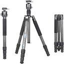 INNOREL RT85C カーボン 三脚 ボール雲台 キット 184CM トラベル三脚 プロ級 ナットロック式 エレベーター式 耐荷重 25KG 四段脚 一脚可変式 パイプ径32mm 超軽量 運動会 登山 野外 野鳥 撮影 スパイ