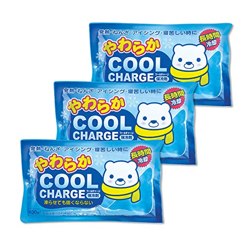 紀陽除虫菊 やわらかクールチャージ (400g×3個セット) 冷却枕 ジェルまくら 保冷剤 アイシング (やわらかい/繰り返し使える) 固くならない ソフトタイ...