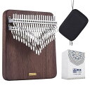LingTing カリンバ 42キー半音階親指ピアノ アメリカンクロクルミ材 収納ケース付き 初心者向けHanonkai Kalimba 月を聴く LT-K42W