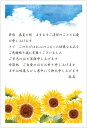 お礼状 ハガキ お中元 10枚 私製はがき アルファプリントサービス〈S-OR302 ひまわり〉
