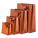 moin moin ラッピング ギフトバッグ 手提げ袋 紙袋 5枚 (シンプルブラウンライン・リボン 22.7×17.7×7.9cm) ハイピング 縁取り おし...