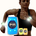 TERUI LIGHTS Osaka ランニング ライト 充電式 LED スラップバンド 蛍光 自転車 反射バンド リストバンド 裾バンド 光る 防水 夜間 反射板 ジョギング ウォーキング サイクリング (ブルー)