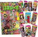 【小さなお子様も安心!お庭で花火セットB:ブリリアント!】線香花火入り!手持ち花火&噴出花火 メガ盛り・マジ盛り・ボリュームMAX SNS映え・写真映え・動画映え花火デビューセット