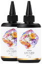AQXIA【プロのレジン作家推薦】 レジン液 UV/LED対応 UVレジン セット 大容量 200g