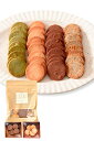朝ごはんラボ 1:1米粉と おからクッキー (プレーン&チョコ1袋(100g)) グルテンフリー ダイエットクッキー 置き換え ロカボ 低糖質 糖質制限 小麦粉不使用