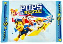 MORIPiLO 子供 枕カバー 低め パウパトロール スカイ チェイス マーシャル PAW Patrol ブルー 約28x39cm用 肌にやさしい綿100生地...