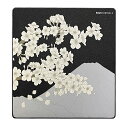 X-Raypad Aqua Control 2 AC2 Sakura ゲーム用マウスパッド 超高精度マウスパッド スピードとコントロール機能