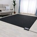 遠赤省エネホットカーペット 2畳 176×176 電気カーペット 暖房器具 暖房 あったかグッズ