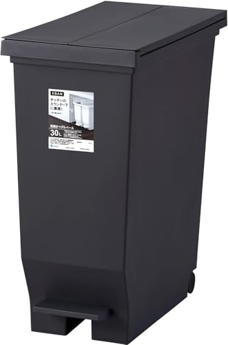 アスベル フタ付きゴミ箱 両開きペダル カウンター下収納可 30L 黒 衛生的 A6303