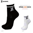 【メール便OK】BANNNE(バンネ) BNH-A102 BANNNE スプリングロゴ スポーツソックス ボーダーバンネ 肉厚クッション(4)