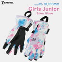 【メール便OK】BANNNE(バンネ) BNS-G02J ガールズ スノーグローブ 防水透湿 インサートフィルム DRI VENT採用 手袋