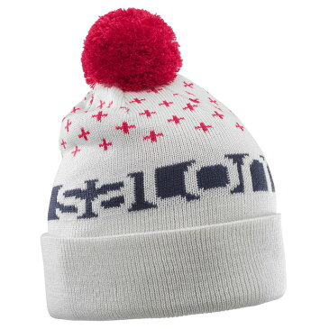 SALOMON(サロモン) FREE BEANIE　ビーニー　スキー　スノーボード　ニット帽　防寒　大人用　L39509200 VAPOROUSGRAY(ベイパラスグレー)