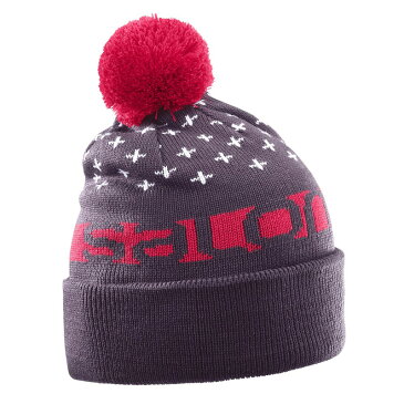 SALOMON(サロモン) FREE BEANIE　ビーニー　スキー　スノーボード　ニット帽　防寒　大人用　L39509300 MAVERICK(マーベリック)