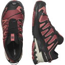 SALOMON(サロモン) L47270900 XA PRO 3D V9 GORE-TEX レディース トレイルランニングシューズ